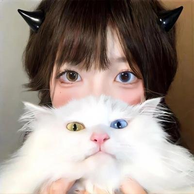 真正的家人 在线观看